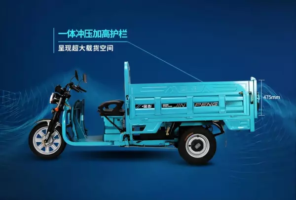 隆鑫三轮车250型2米6价格(6)