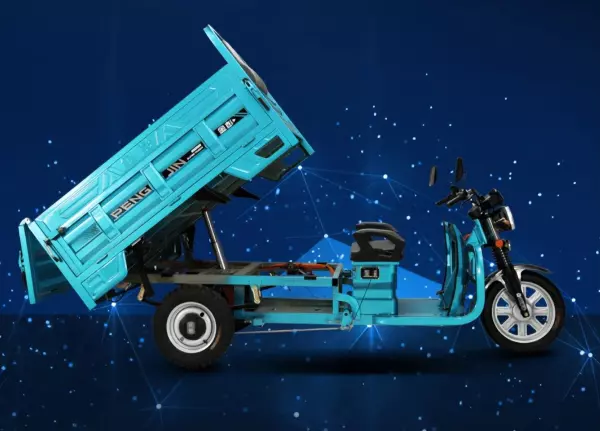 隆鑫三轮车250型2米6价格(7)