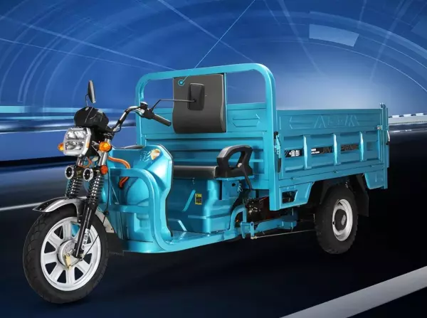 隆鑫三轮车250型2米6价格(8)