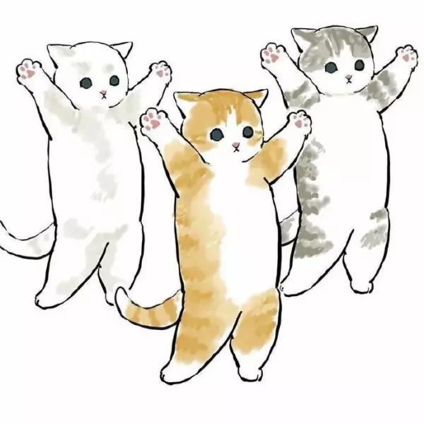 太中生日8位数字是什么(3)