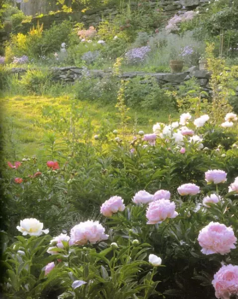 太中生日8位数字是什么(7)