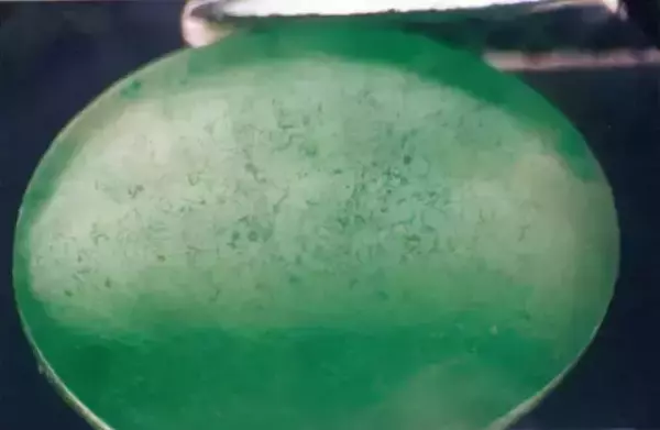 金凯麟珠宝金行翡翠是真的吗(9)