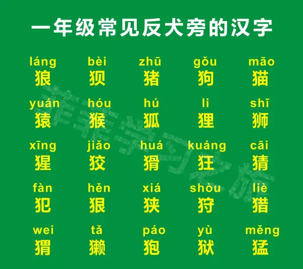 犭字旁的字有哪些字旁的字组词(1)