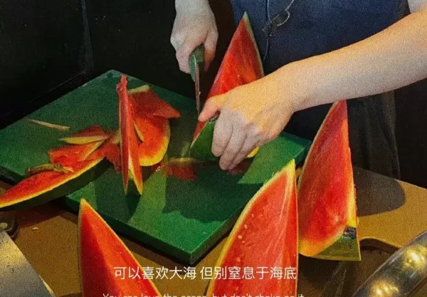 没人能逃过中途散场的命运.什么意思(1)