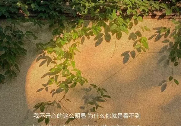 没人能逃过中途散场的命运.什么意思(2)