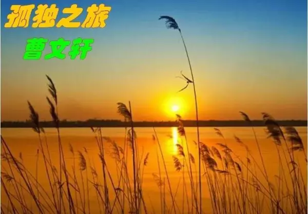 暴风雨对杜小康的成长起什么作用(4)