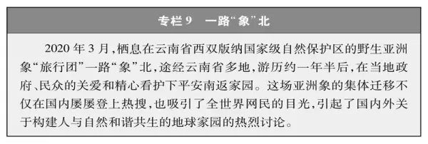 人类命运共同体中国提出哪些方案和建议(9)