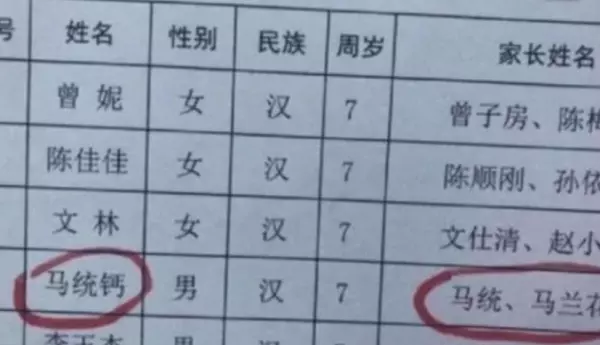 吴梓豪这个名字的含义(1)