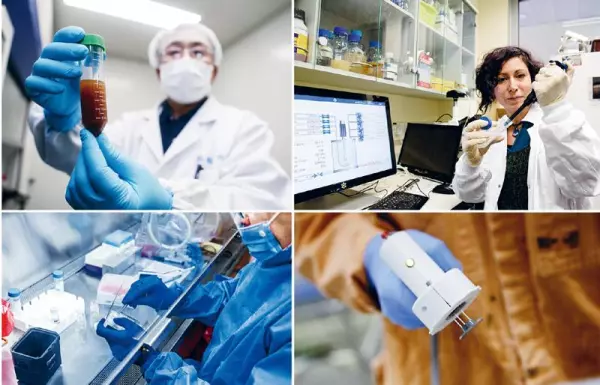 关于疫情携手构建人类命运共同体的论文标题怎么写(8)