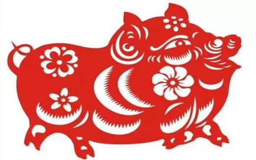 71年的猪在2021年的财运如何(1)