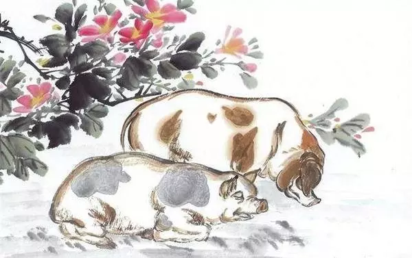 71年的猪在2021年的财运如何(3)