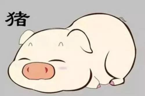 71年的猪在2021年的财运如何(5)