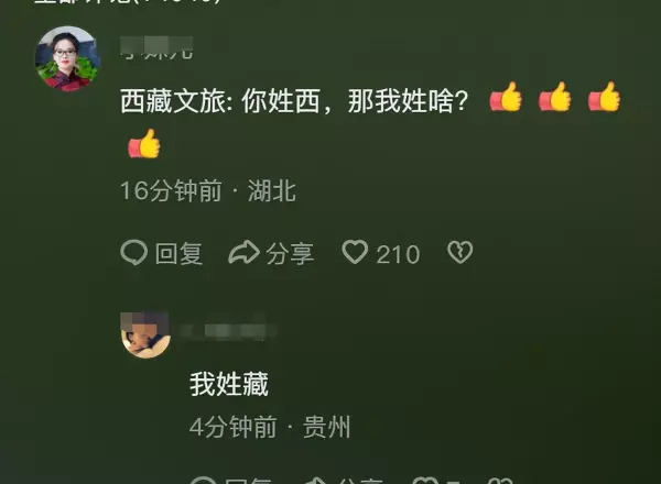 西姓全国有多少人口(5)