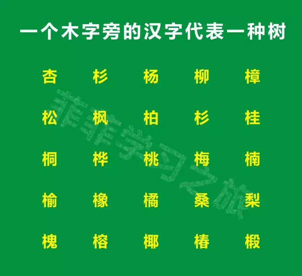 木字头的字有哪些字旁的字组词(2)