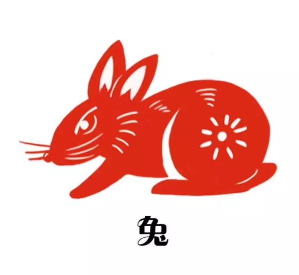 生肖马在兔年运势怎么样呢男孩子性格如何(1)