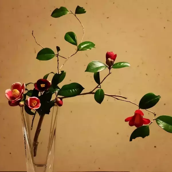 一无所获三年级造句大全(4)
