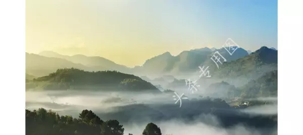 高帅这个名字怎么样(21)