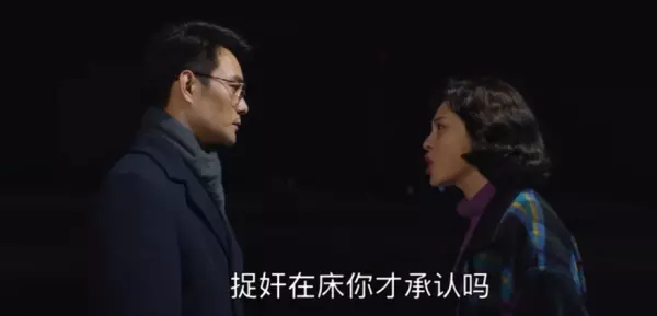 宋运辉对程开颜提离婚的片段是哪一集(7)