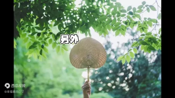 忘忧塔罗天蝎座12月感情运势如何看(5)