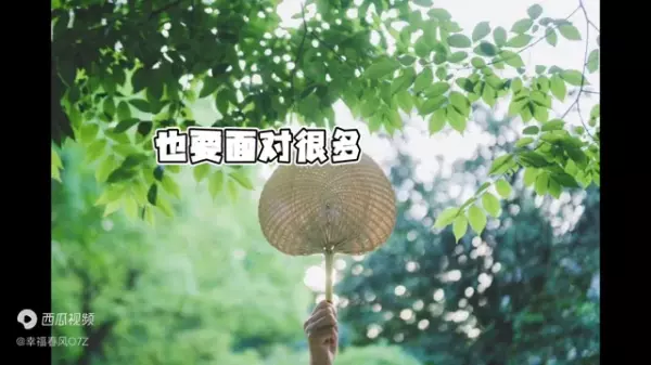 忘忧塔罗天蝎座12月感情运势如何看(6)