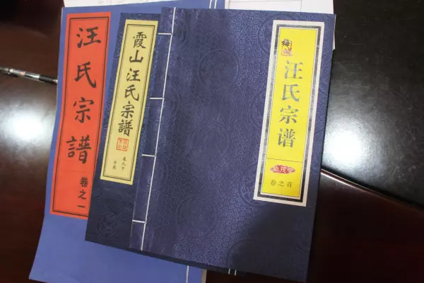 汪氏宗谱老族谱大全(6)