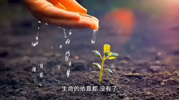 八字两个正官正印是什么意思谢谢(5)