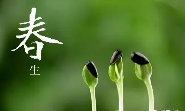 2021立春破太岁生肖运势如何呢(4)