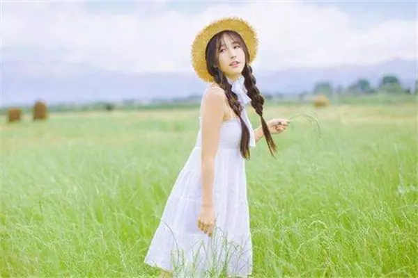 2009年属什么生肖属相(1)