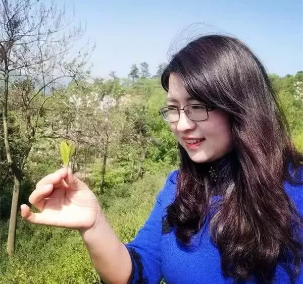 范佳丽是哪里人(1)