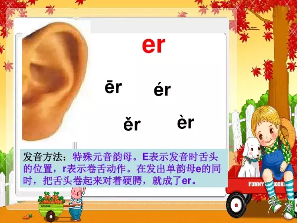 儿的拼音是整体认读音节吗(11)