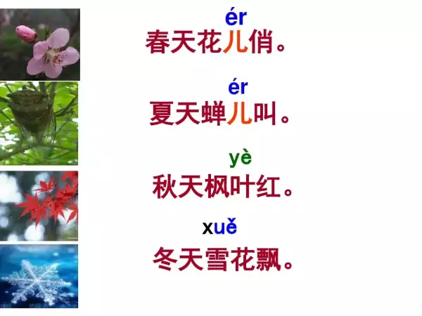 儿的拼音是整体认读音节吗(28)