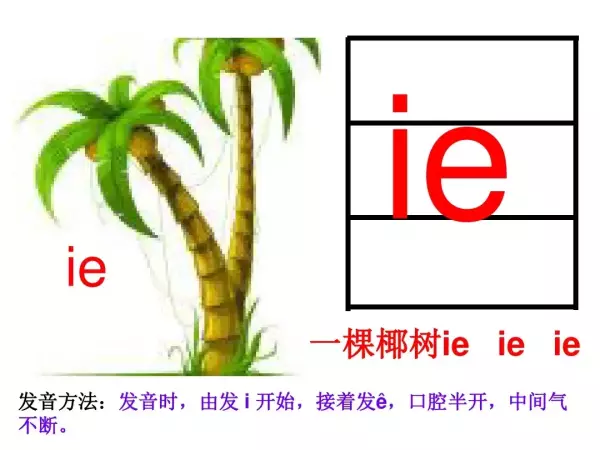 儿的拼音是整体认读音节吗(3)