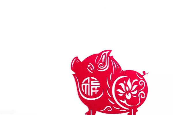 属猪女属羊男夫妻23年运势怎么样呢(1)