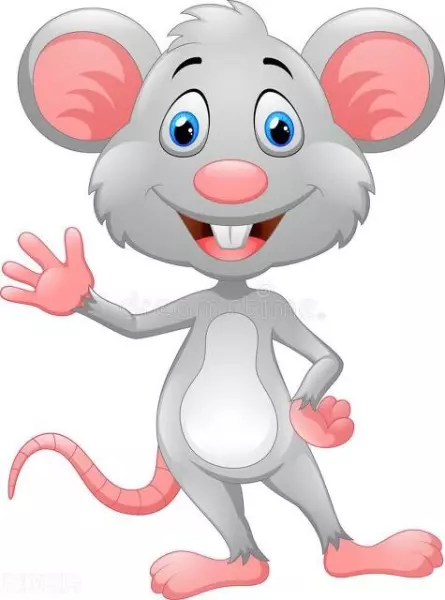 属猪女属羊男夫妻23年运势怎么样呢(7)