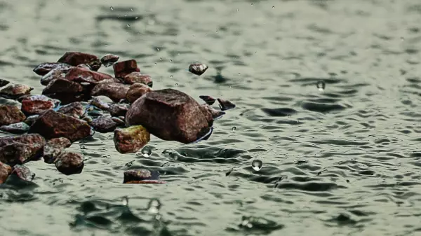 石头雨歌词是什么意思(2)