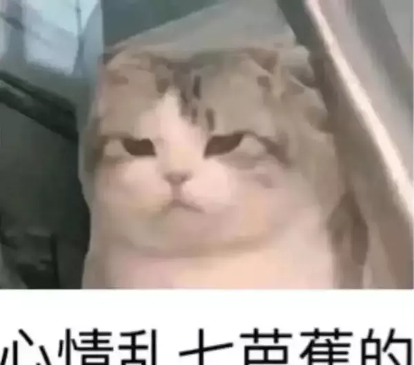 算命的说我前世是和尚投胎好不好(5)