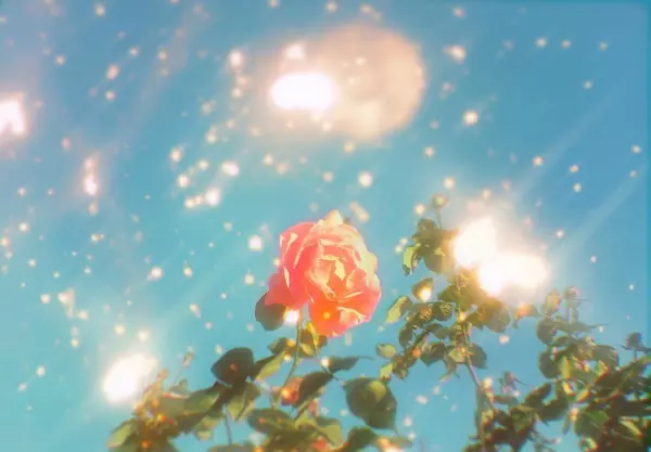 梦见前男友有钱了是什么征兆呢周公解梦女人(3)