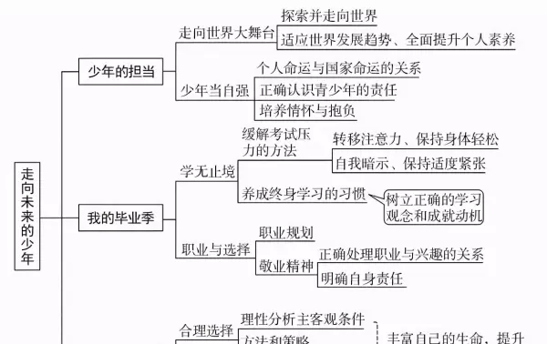珍爱生命构建命运共同体思维导图怎么画(5)