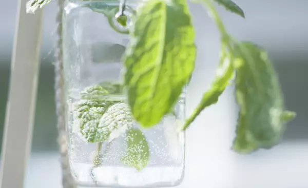 81年摩羯座女2022年5月运势怎么样呢(1)