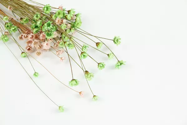 81年摩羯座女2022年5月运势怎么样呢(2)