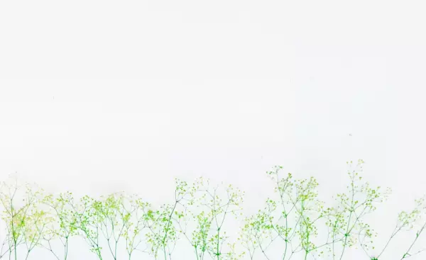 81年摩羯座女2022年5月运势怎么样呢(4)