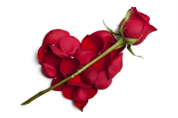 81年摩羯座女2022年5月运势怎么样呢(5)