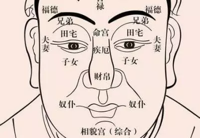 人的面相 决定了他的命运和运气吗(1)