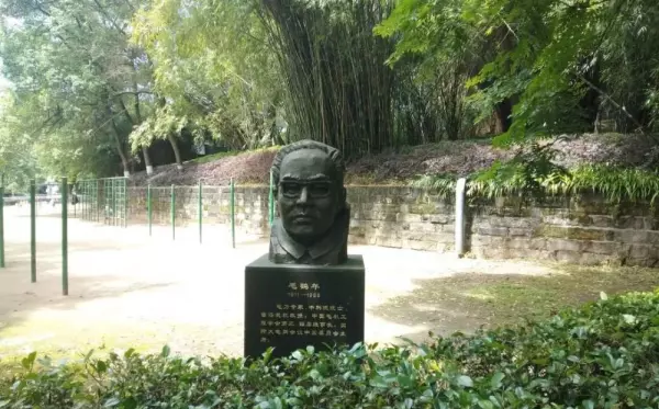 论个人命运与国家命运之间的关系思维导图(5)