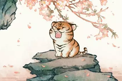 2022年属虎5月出生的命运怎么样呢(1)