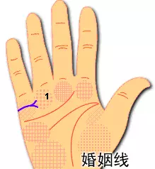 手相事业线图解感情线分Y怎么回事(1)