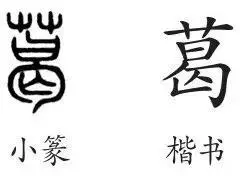 葛字怎么读音是什么意思啊(1)