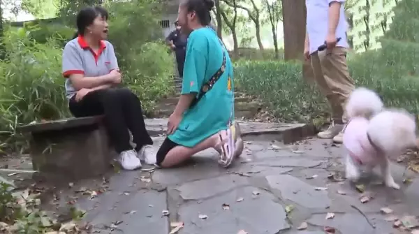 朱秀莲哪里人(19)