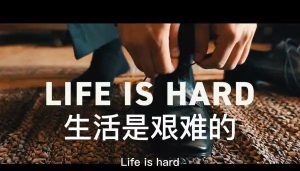 为什么属羊的人的命运都不是好呢怎么回事(3)