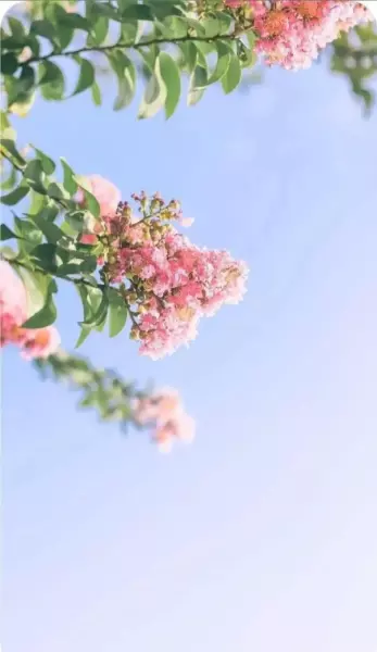 每个新的一天都改变你命运的机会英文怎么说(1)